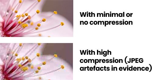 JPEG artefacts—shows how the quality of an image degrades with data compression