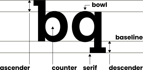 Letterform features - shows ascender, counter, serif and descender