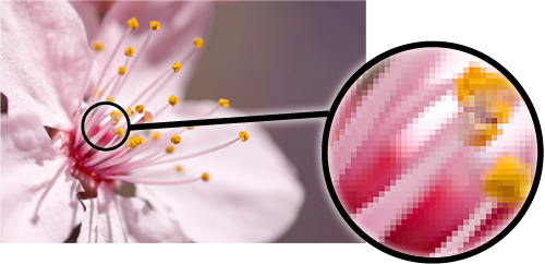 Raster image - shows how the pixels that make up the become larger and the image less sharp as it is enlarged