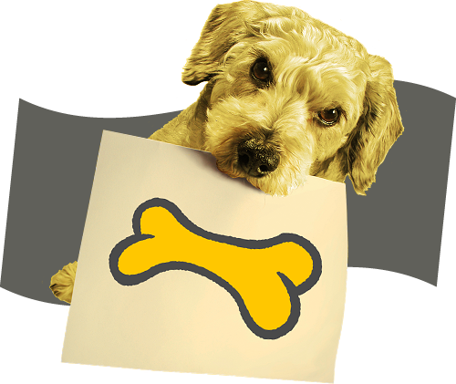 Dog and bone